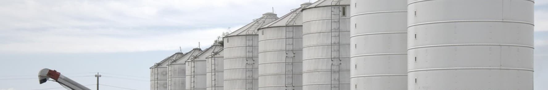 Grain and cereal processing