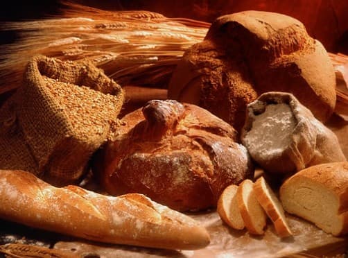 Grain & cereal — processes