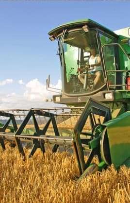 Grain & Cereal Processing