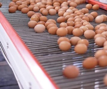 Packaged foods — equipment