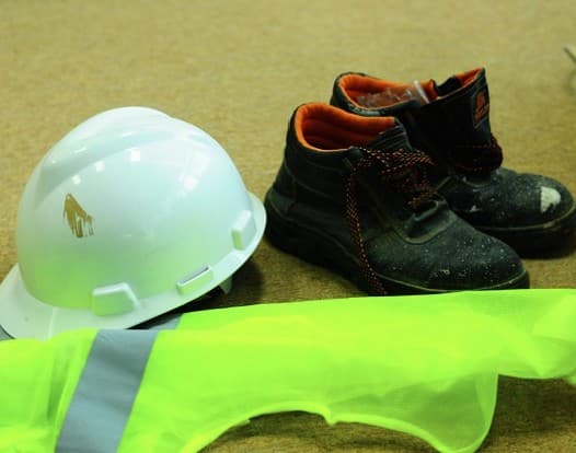 Plant protein — factory life