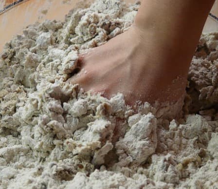 Plant protein — processes