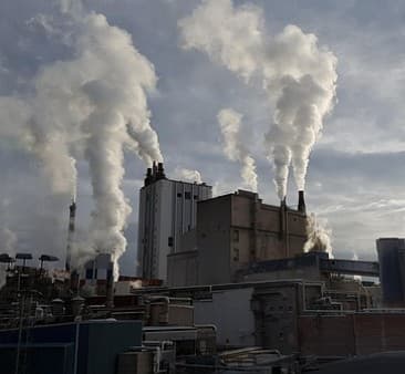 Consumer dairy — factory life