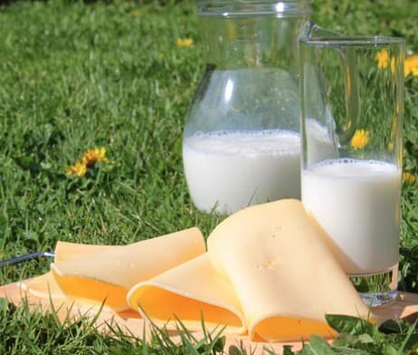 Consumer dairy — processes